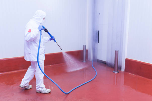Best Patio and Deck Pressure Washing  in Arbutus, MD