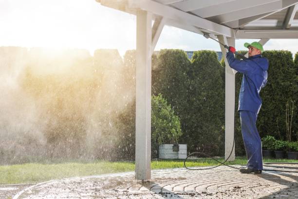 Best Building Exterior Washing  in Arbutus, MD