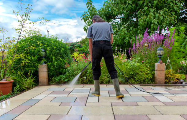 Best Spring Cleaning  in Arbutus, MD