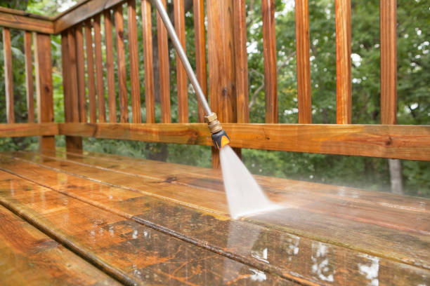 Best Sidewalk and Walkway Cleaning  in Arbutus, MD